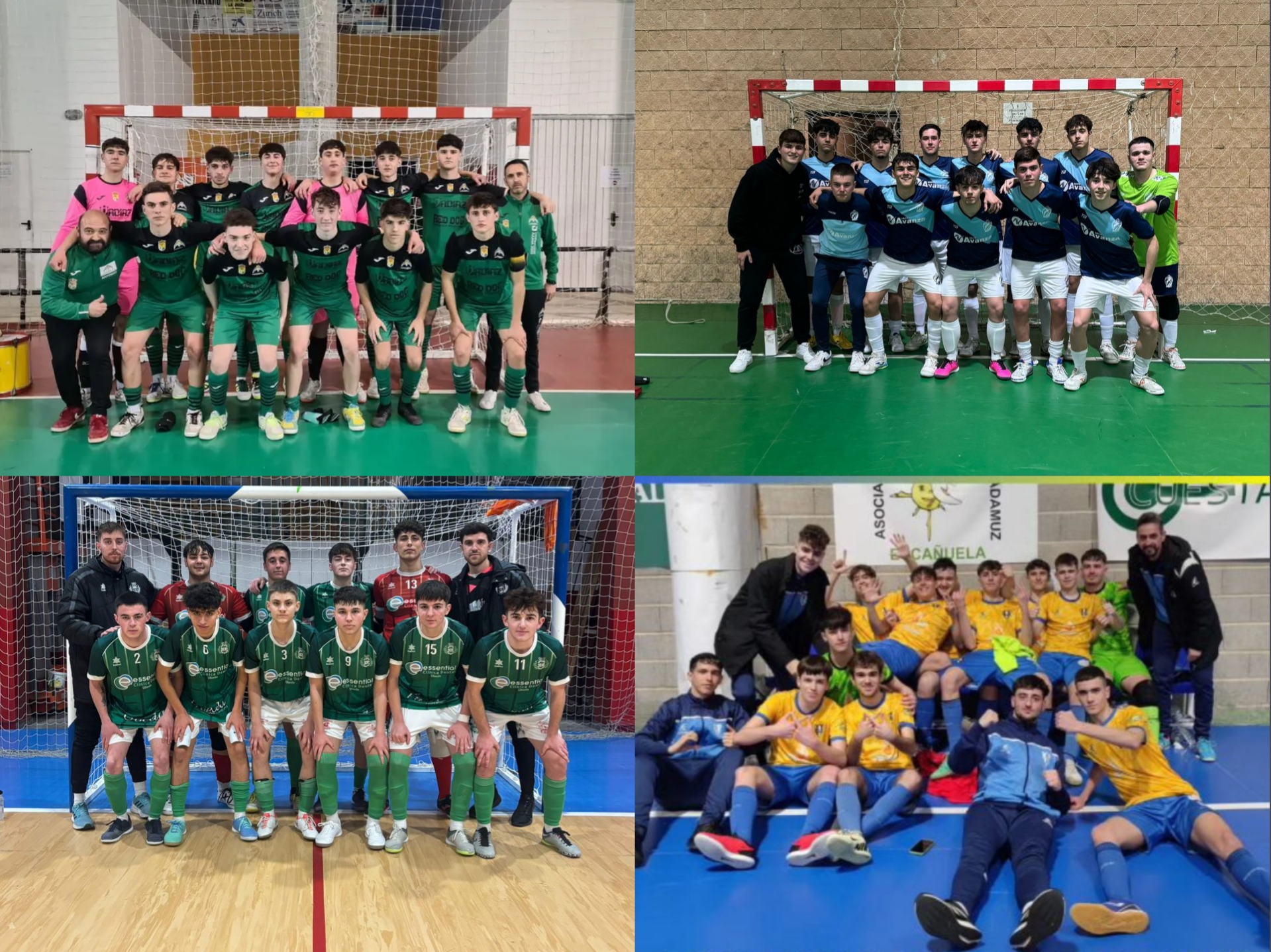 CD Sierra de Pozo Alcón, CD Avanza Jaén, CD Úbeda Viva y CD Bailén 2008 FS lucharán por el título de 2ª Andaluza Juvenil Fútbol Sala